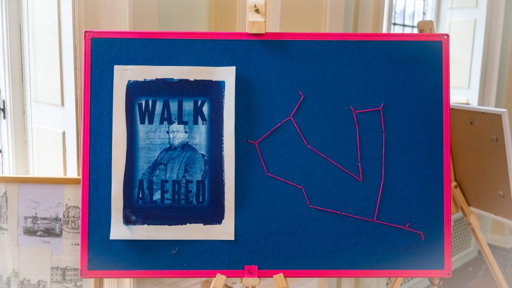 4. The Walk of Alfred #2 - Cyanotype print and pink stitch shape.